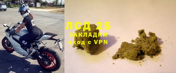 прущие грибы Лагань