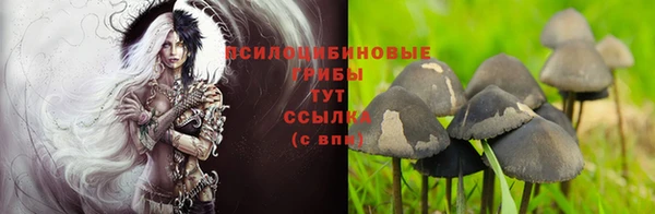 ALPHA-PVP Вяземский