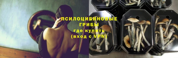 ALPHA-PVP Вяземский