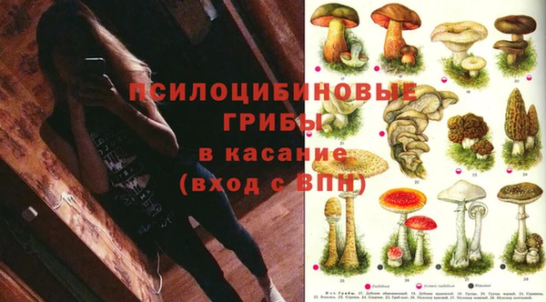 бошки Лиски