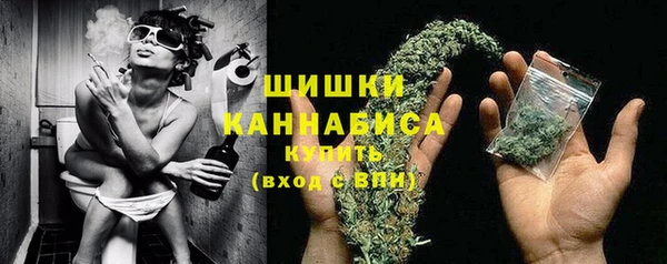 PSILOCYBIN Вязники